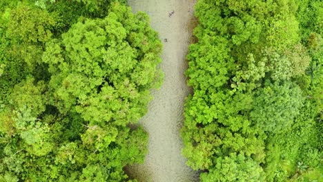 BEAUTIFUL-AERIAL-VIEW-OF-FOREST-AN-RIVER-IN-SAINT-CIPRIANO-COLOMBIA