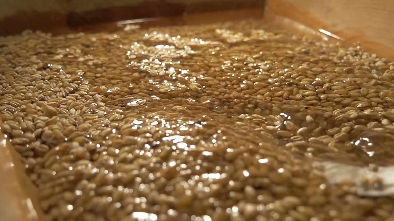 Slow motion. Grain and water mixing into a wooden bowl