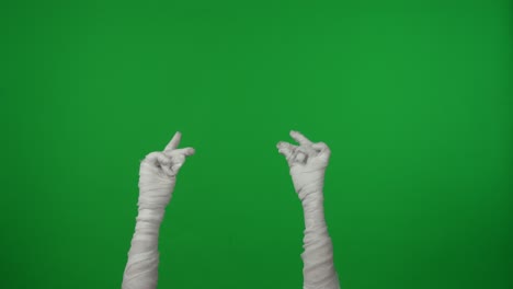 detail green screen isolated chroma key video capturing mummy's hand holding a smartphone and