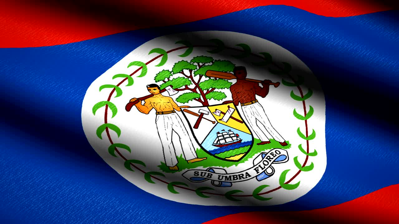 벨리즈 발을 흔들고 있는 직물 텍스처 배경, 원활한 루프 애니메이션, 풀 스크린, 슬로 모션, 4k 비디오