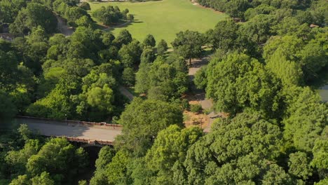 zumbido sobre piedmont park en atlanta goergia