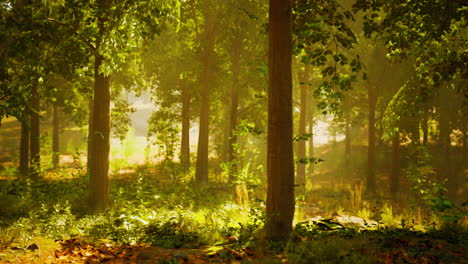 sunbeams streaming through a tranquil forest