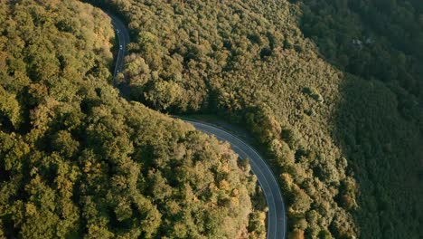 toma aérea de drones inclinados hacia abajo de autos conduciendo en una sinuosa carretera de montaña en medio de un bosque