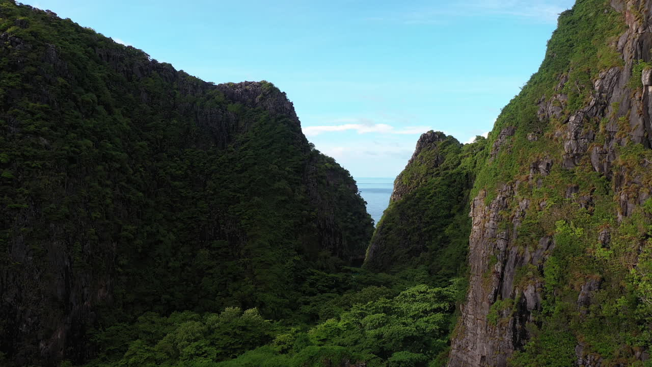 drone volando sobre el dosel de los árboles de la selva para revelar el mar y el horizonte en el hermoso parque nacional phi phi en tailandia