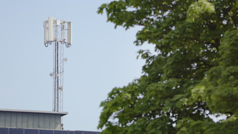 Juxtaposition-of-5G-phone-mast-against-sky-and-natural-green-tree-in-foreground