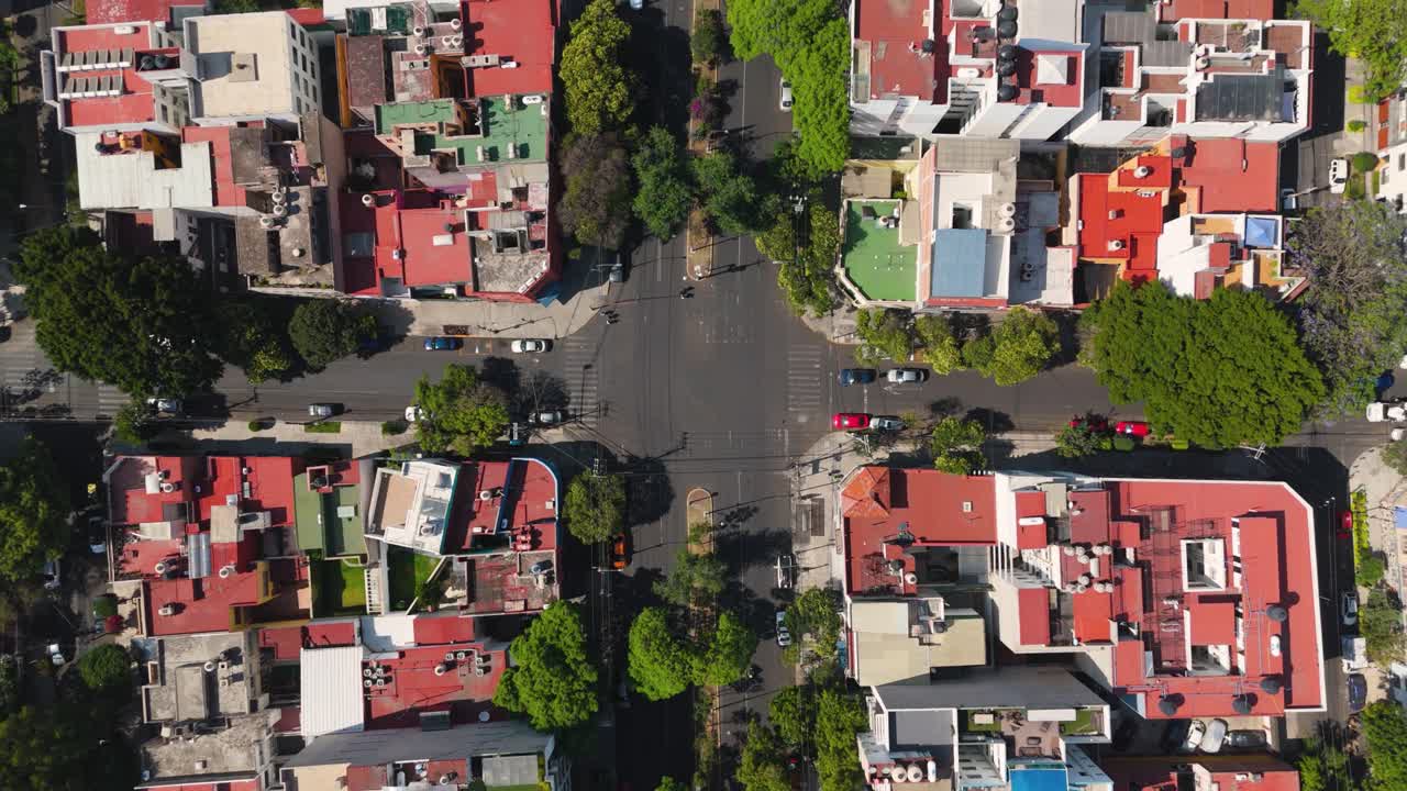 Directly overhead view of Narvarte colonia, building roofs and leafy avenues. Mexico City