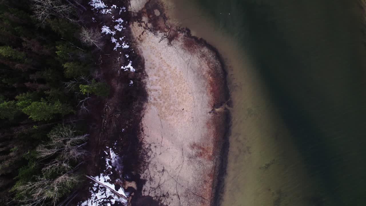 bosque de pinos aéreos con costa nevada, arenosa, rojiza y agua verde, en st