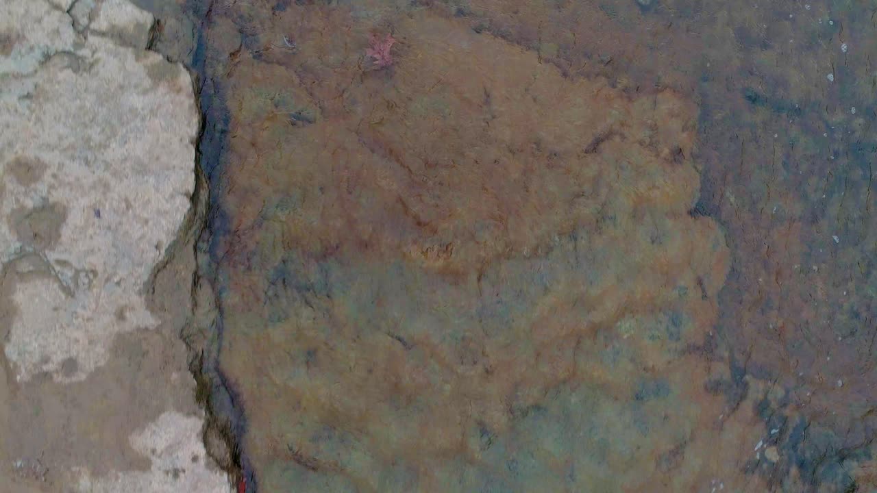 하류로 흐르는 잎사귀를 따라 새의 눈 공중