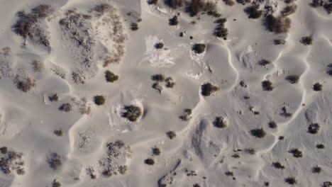 Pintorescas-Dunas-De-Arena-En-Un-Día-Soleado-En-El-Desierto