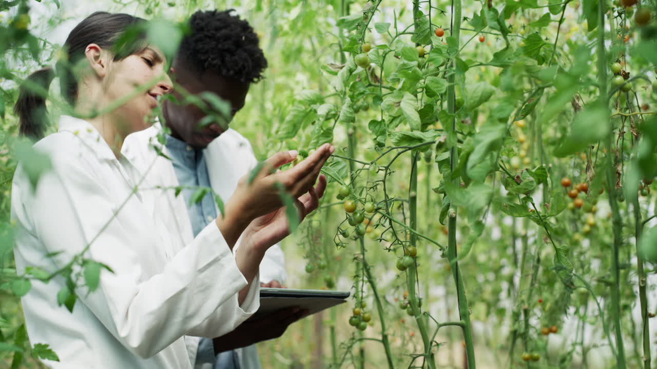 el análisis detallado de las plantas puede decir mucho.