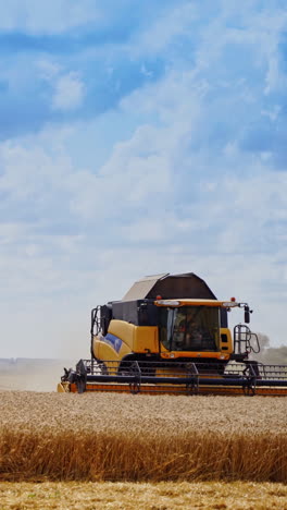 harvesting ripe crop on the yellow field. combine harvester working during seasonal works under the blue sky. agricultural machinery in action in summer. vertical video