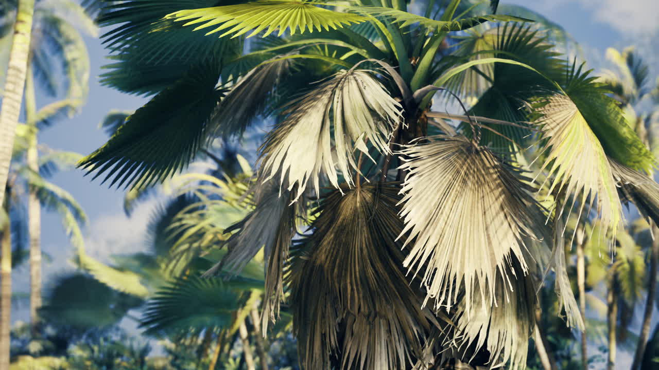 Palm tree with vibrant leaves in lush tropical setting near coastline