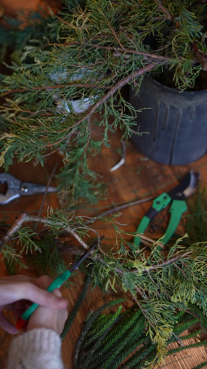 poda de los árboles de bonsai