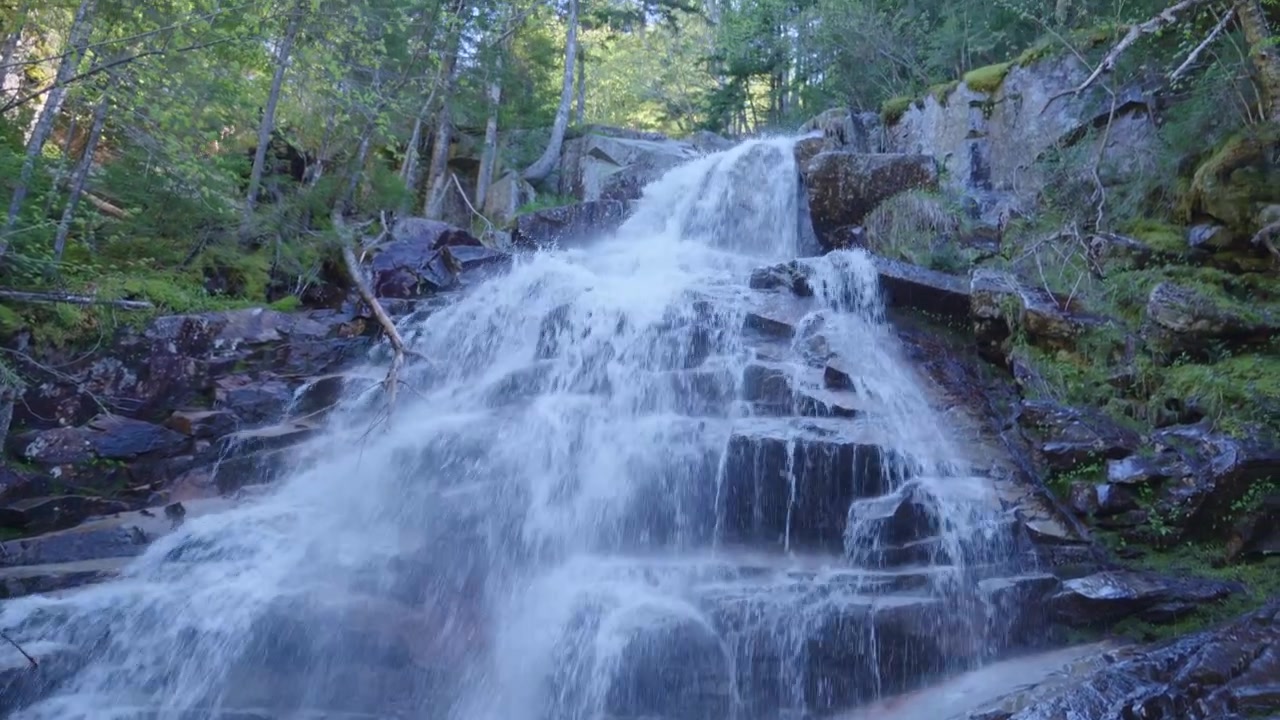 View of fresh water cascading down steep rocky steps surrounded by forest vegetation at Cloudland Falls in Lincoln, United States. Tilt-up