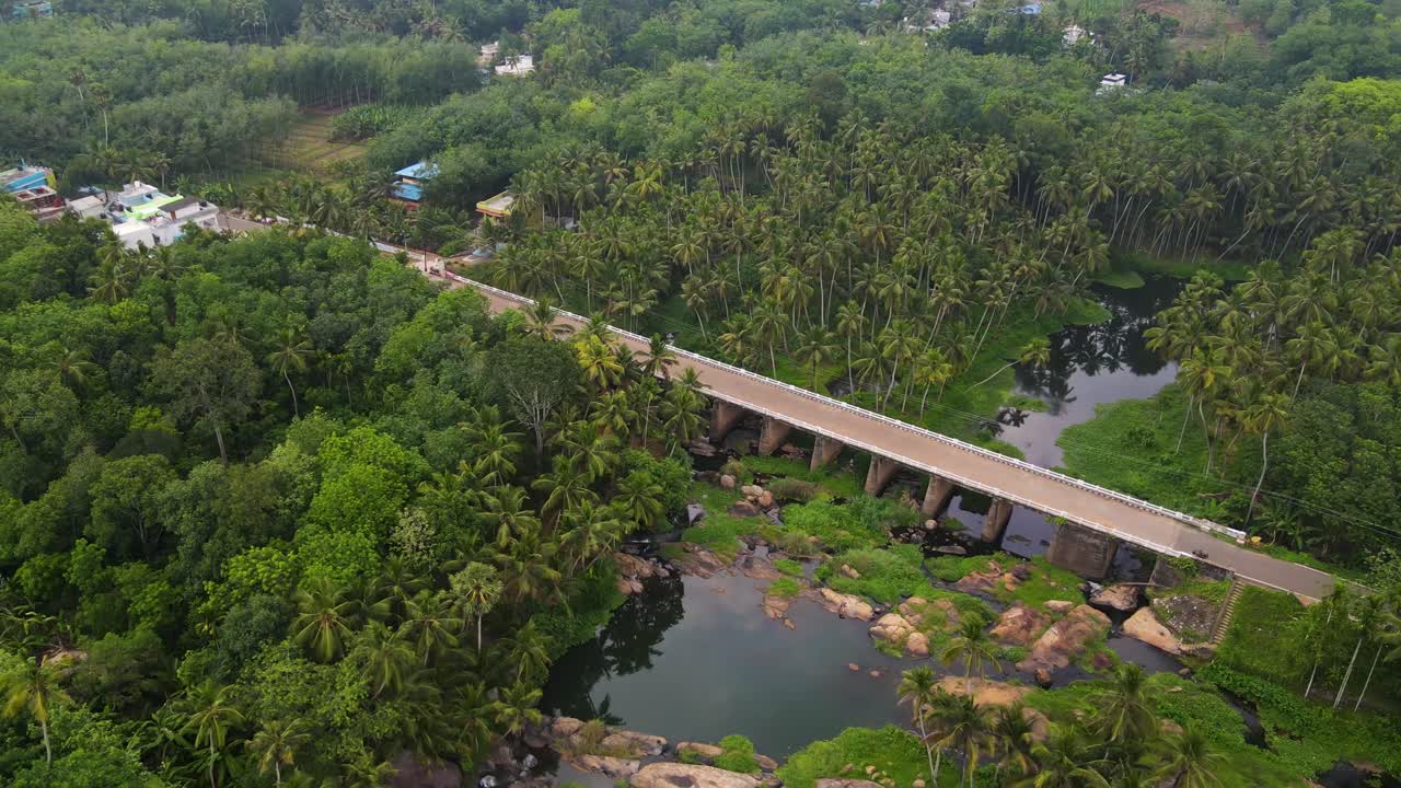 una toma aérea de un dron del bosque prístino de kerala, destacando un río sereno que serpentea a través de los bosques de coco.