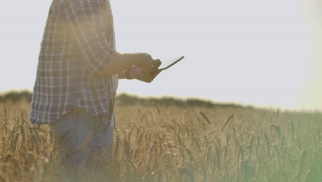 Joven-Agricultor-Sosteniendo-Tableta-En-Campo-De-Trigo