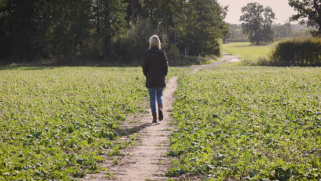 woman walking on a path through a field