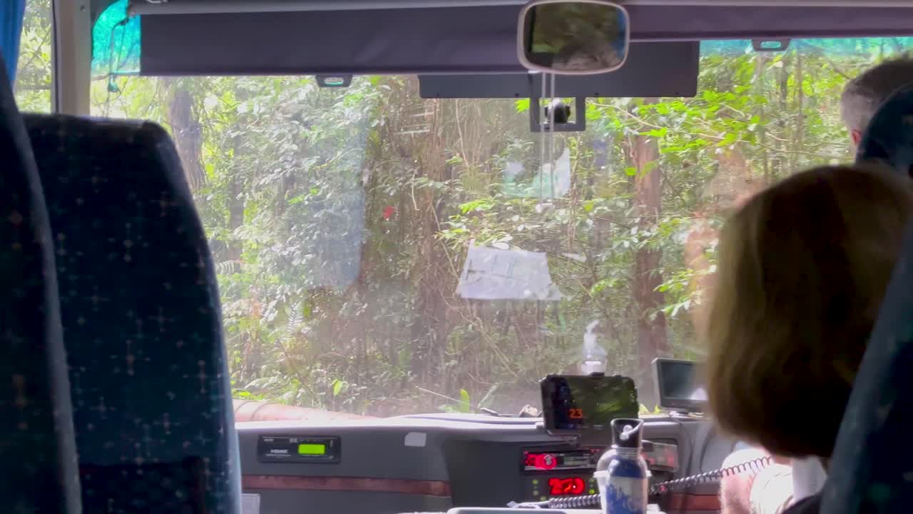 Bus interior view as vehicle drives through lush rainforest, natural daylight, steady camera, relaxed atmosphere