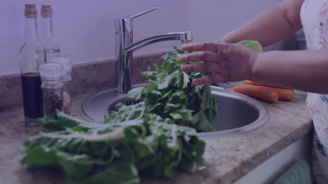 Home cook turning faucet and rinsing leafy greens under water while interface updating wash metrics