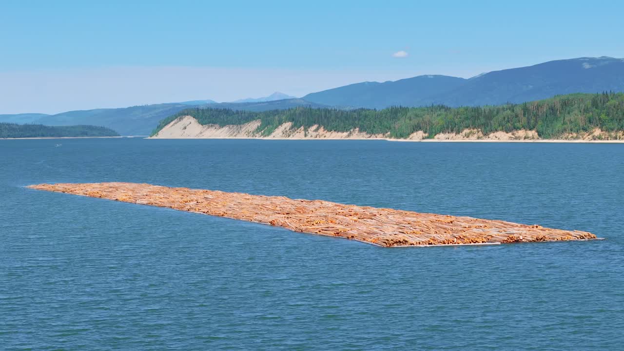 Explore the effects of tariffs and trade on forestry with drone footage of the logging supply chain, showcasing timber transport and industrial operations in action.