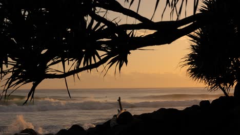 Surfen-Bei-Sonnenaufgang-In-Burleigh-Heads,-Gold-Coast,-Australien