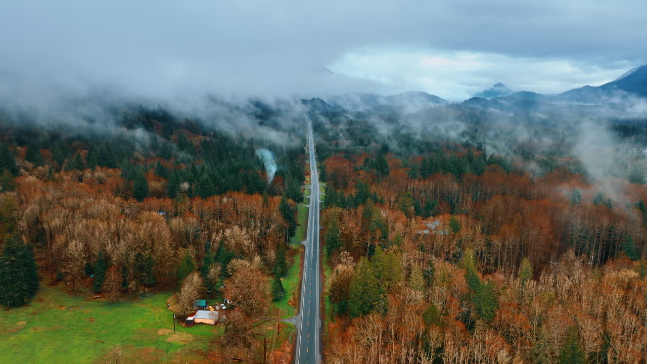 Straight highway crossing the territory of Mount Rainer national Park, Washington State, the USA. Thick fog spreading above the mountains, bare trees and green pine-trees. Top view.