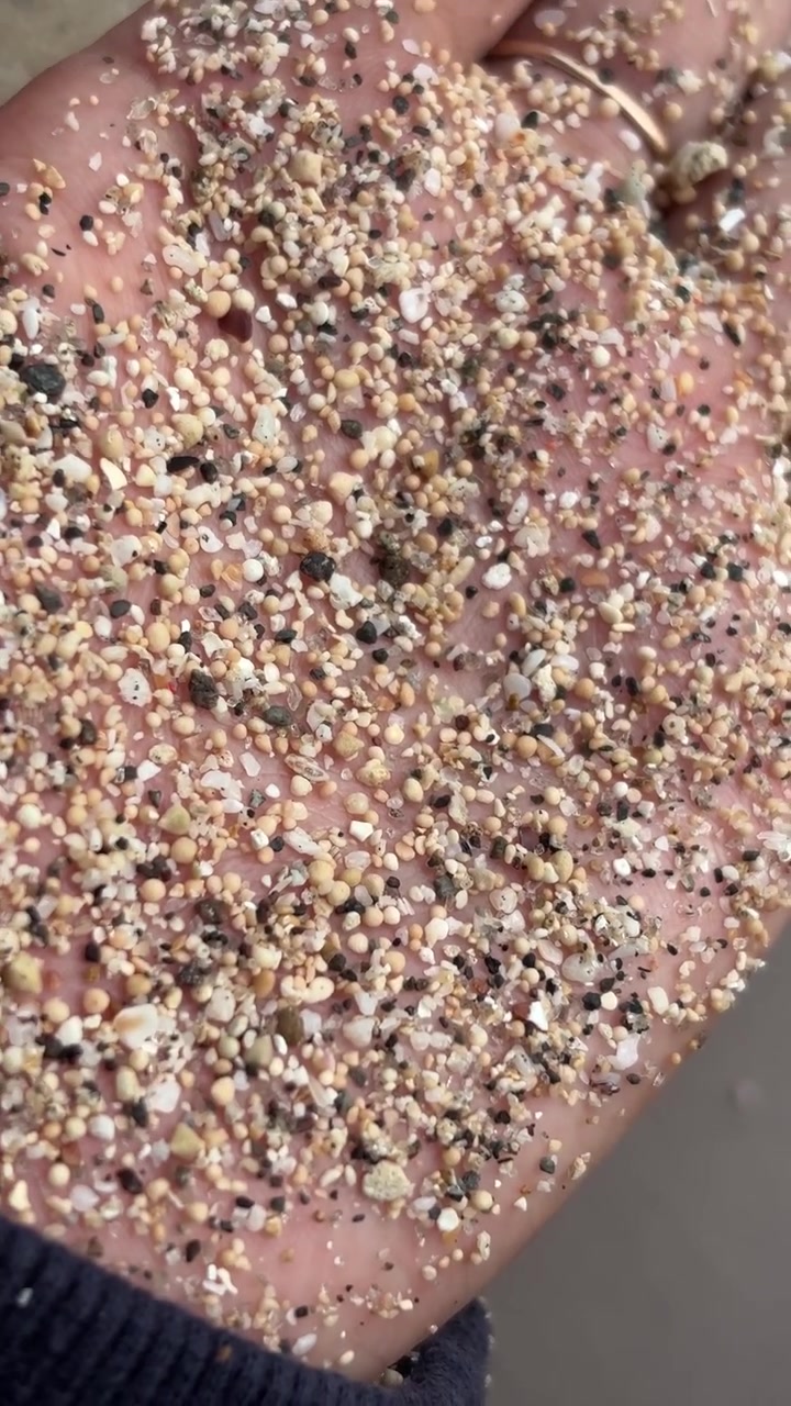 Primo piano di sabbia grossolana da spiaggia tenuta in una mano umana