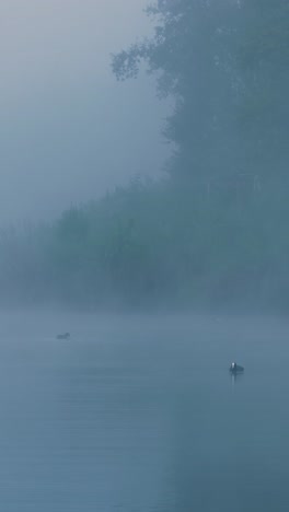 misty morning on the lake