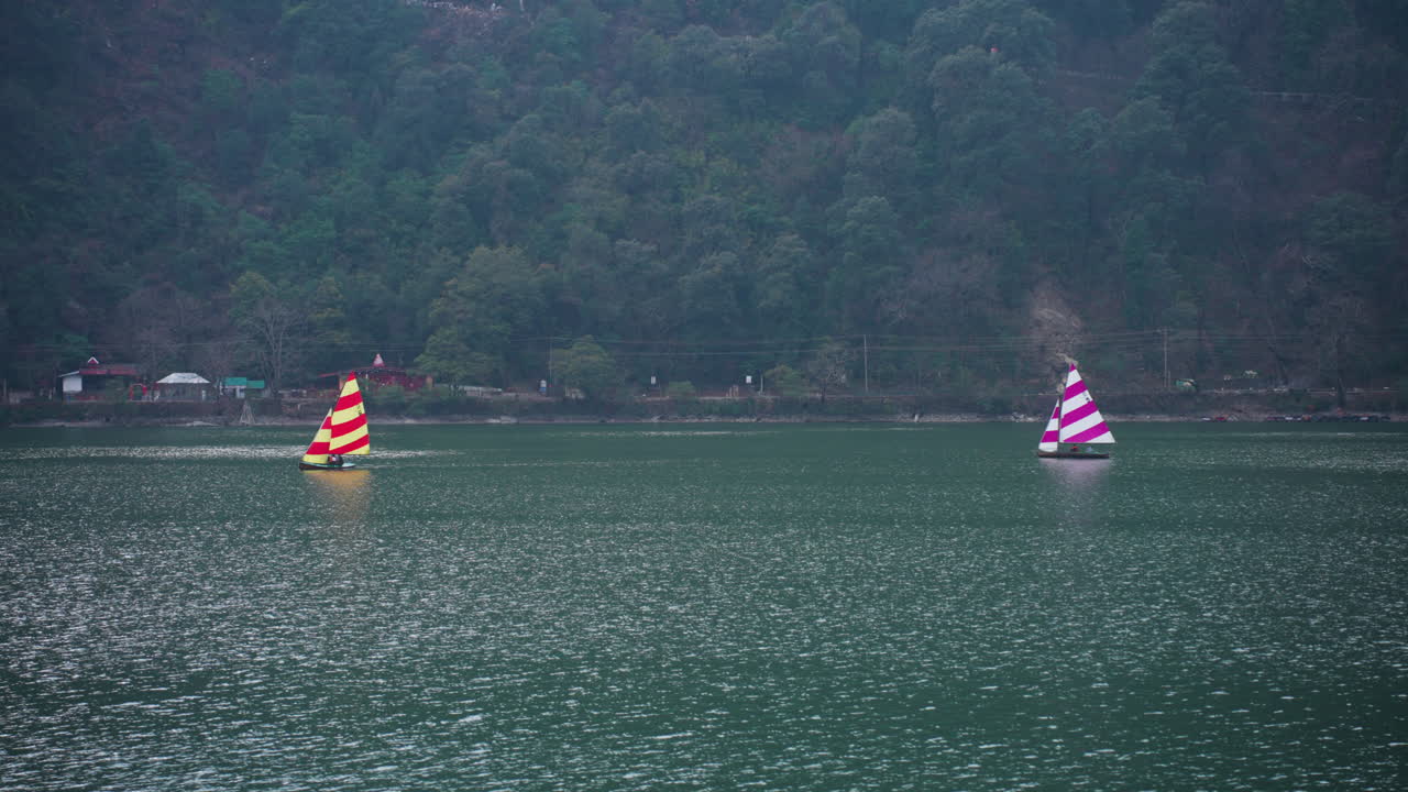 Barche a vela a strisce che navigano sul lago Nainital sotto una riva boscosa e montuosa.