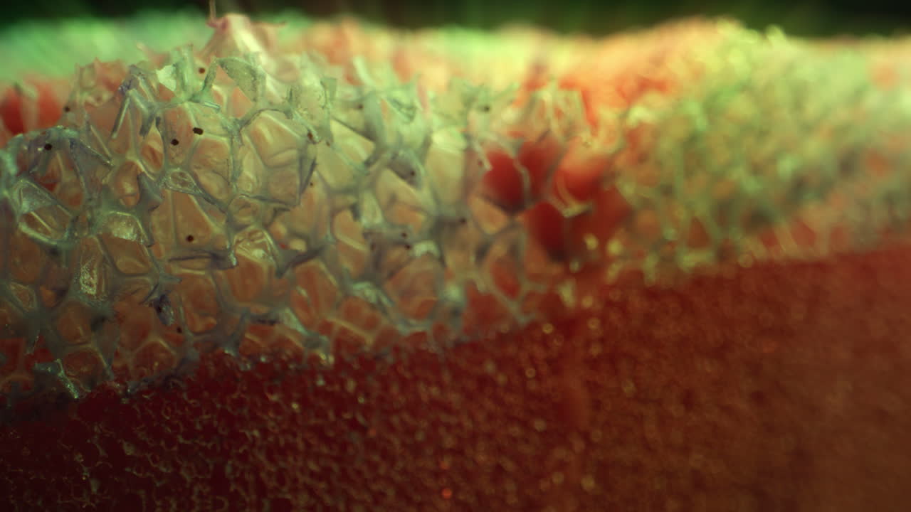 Abstract Macro of a Textured Surface