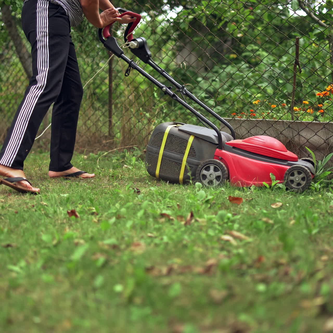 Woman working with electic mower machine in the garden. Lawn mower cutting green grass outdoors.