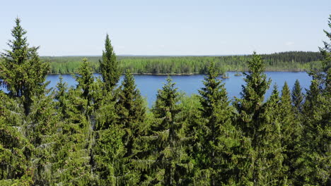 Drone-shot-of-blue-lake-revealing-behind-green-forest