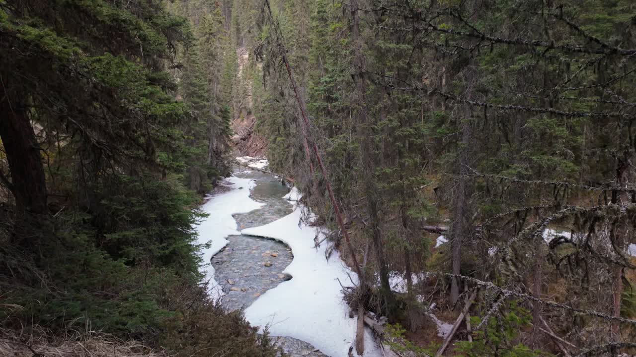 River Running In The Forest With Snow Covering