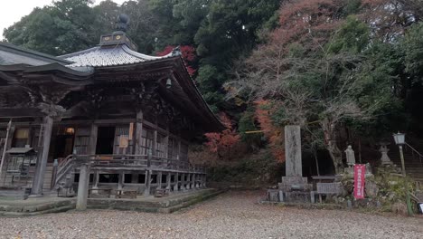 a serene progression through a japanese temple