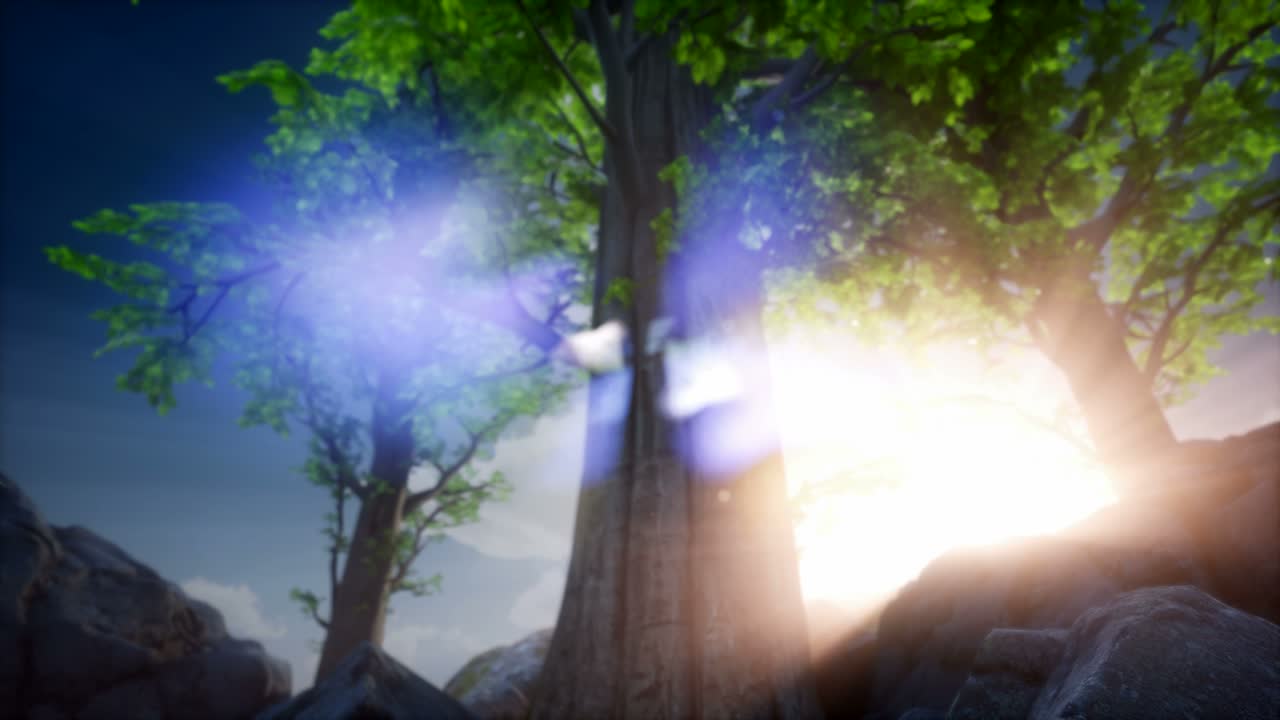 rayos de sol a través de los árboles