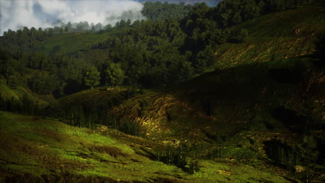 Bosque-De-Otoño-En-Verdes-Colinas-Rocosas