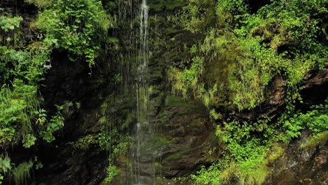 pequeña cascada limpia en el bosque. hermosa naturaleza paisaje natural de noruega.