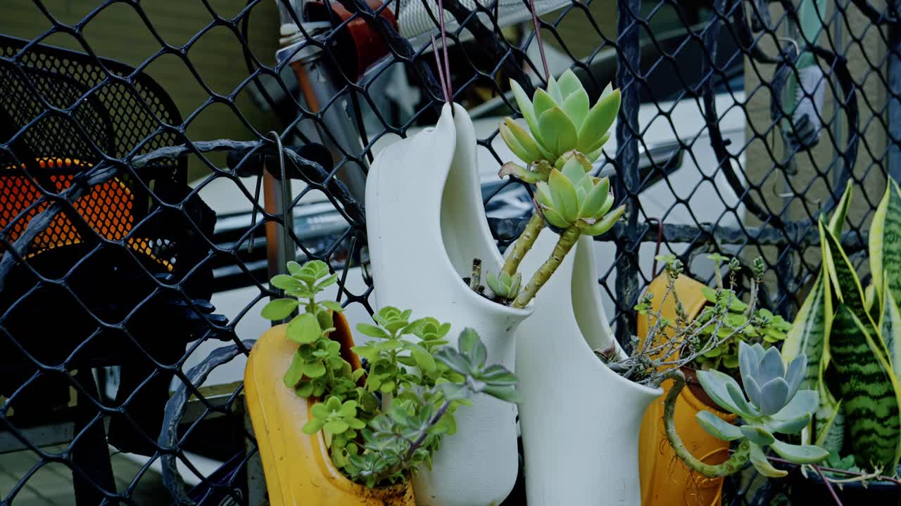 Handheld shot of pots of green plants in the form of clogs and a bike behind it, outdoor