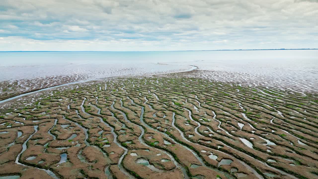 pisos de barro agrietados en un pantano salado