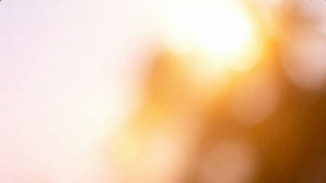 Streaming sun glare and warm bokeh cluster shifting gently through tree canopy, triggered by breeze