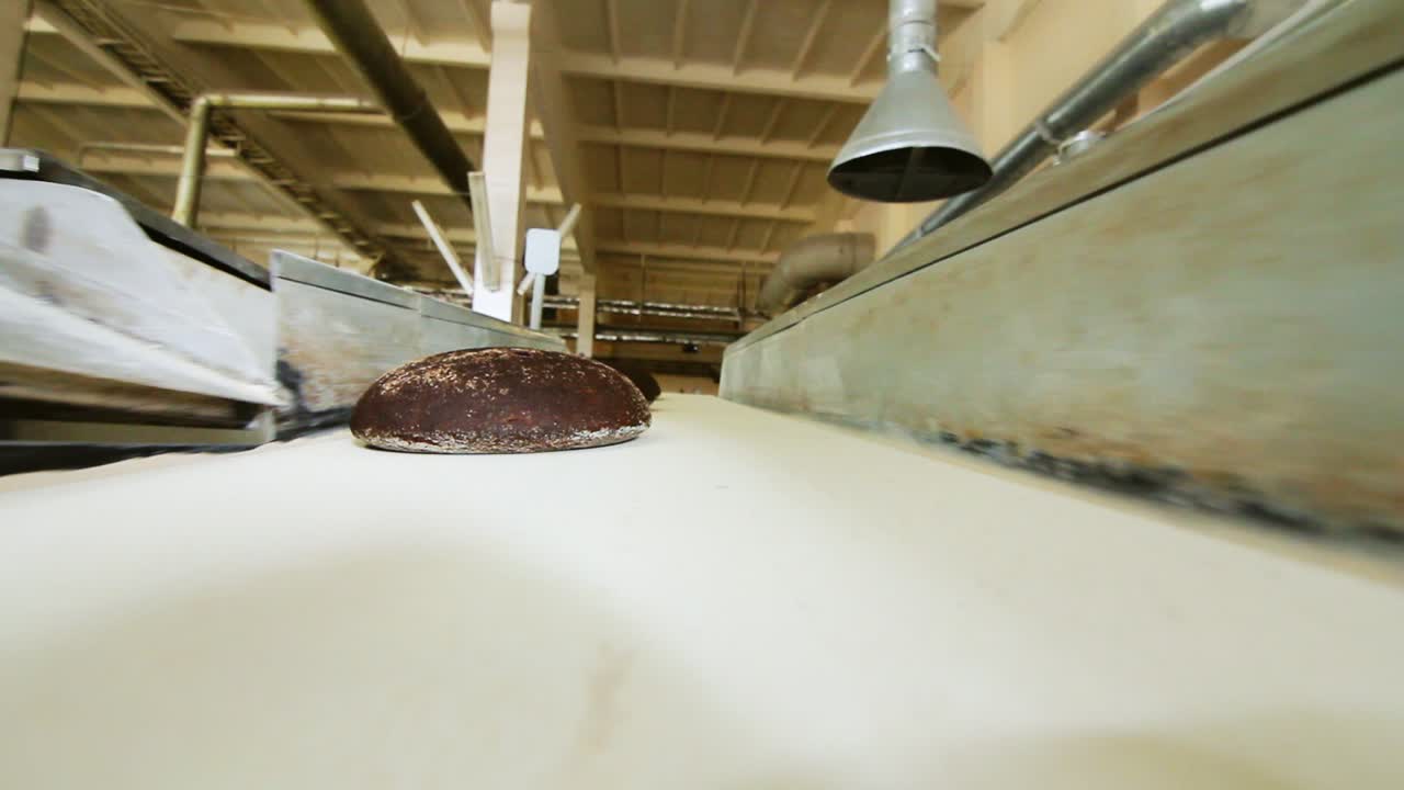 Brown bread on conveyor belt. Rye bread production process on bakery