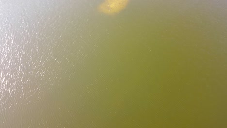 fly over shot of a little island in a lake in norwich, england