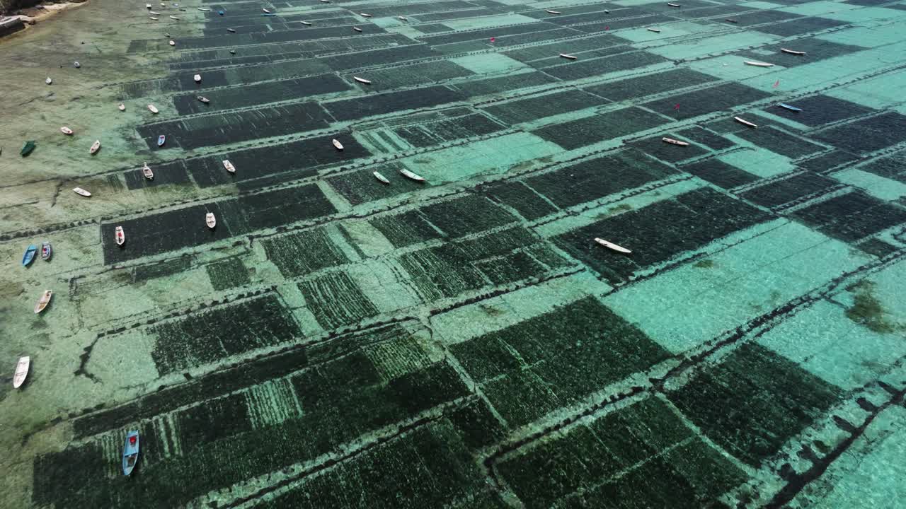 Aerial high angle overview of Nusa Lembongan seaweed farms along Bali’s coast with blue-green waters shimmering and sparkling