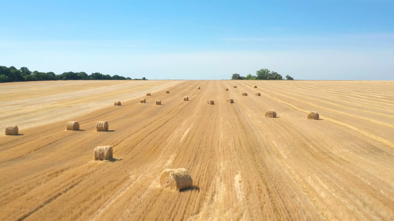 balas redondas en el campo vista aérea