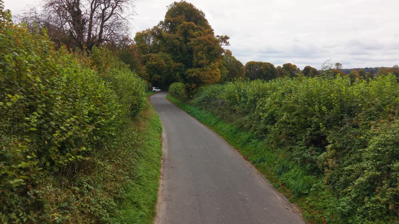 Volo in avanti a bassissima quota tra le alte siepi di una strada di campagna inglese in autunno, con i colori vivaci degli alberi autunnali e una vista frontale all'altezza della testa.