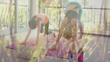 animación de la hierba moviéndose sobre una mujer caucásica feliz con su hija haciendo yoga usando una computadora portátil
