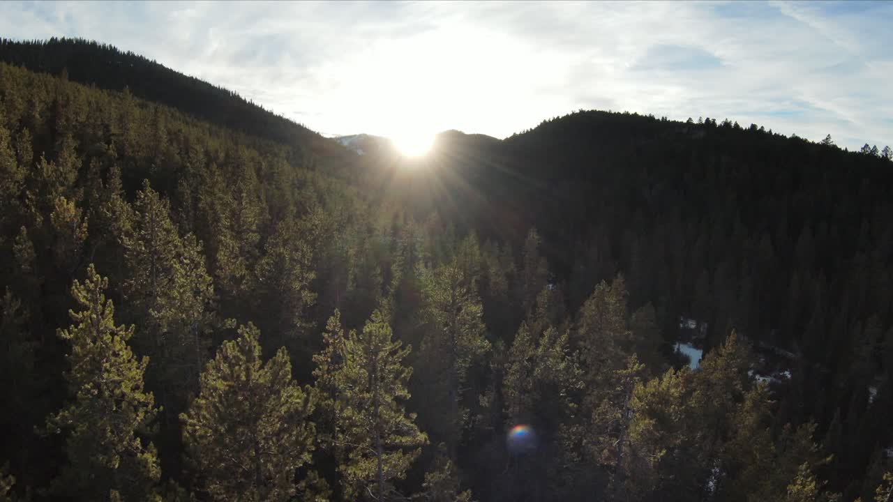 FPV footage of a forest in the middle of Idaho. There are many high trees and the sun is setting.
