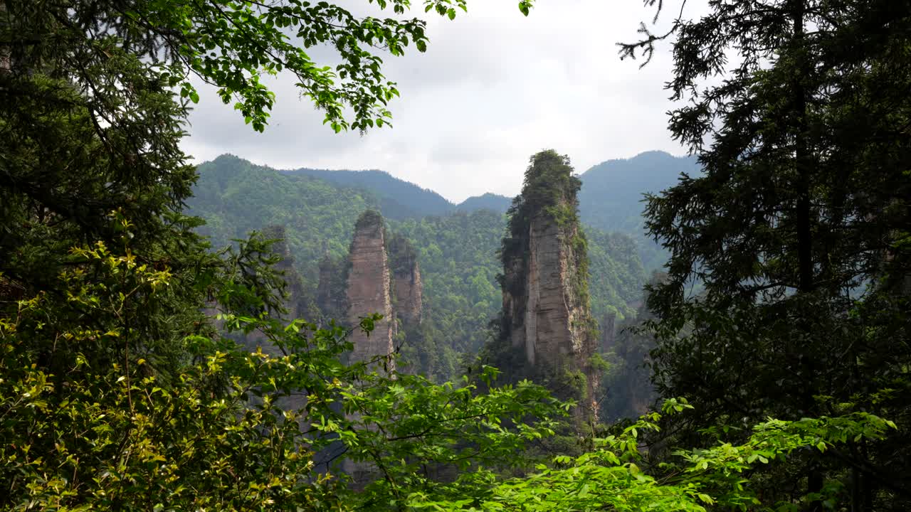 Zhangjiajie karst pillars framed by lush green trees on a cloudy day, China