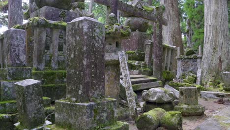 movimiento lento a la derecha sobre los terrenos del templo