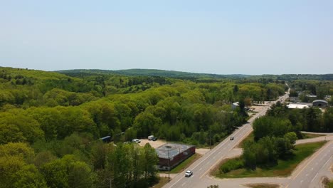 forest from highway